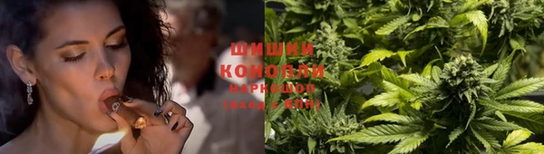 мдпв Бугульма