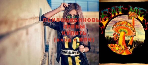 герыч Бородино